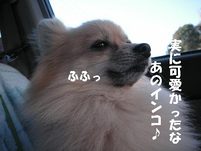 c0179136_065890.jpg
