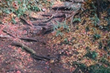 c0122445_12204.jpg
