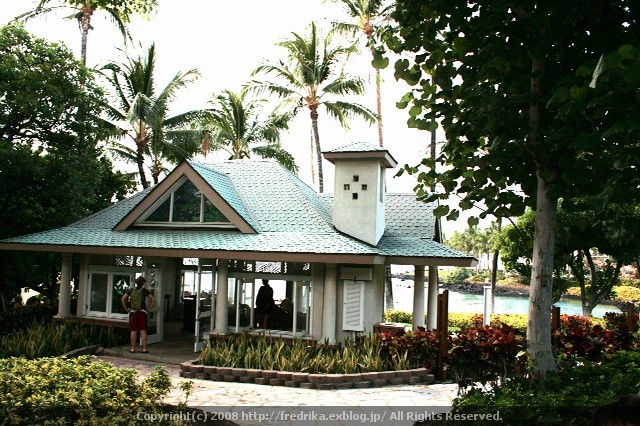 e0129046_5334536.jpg