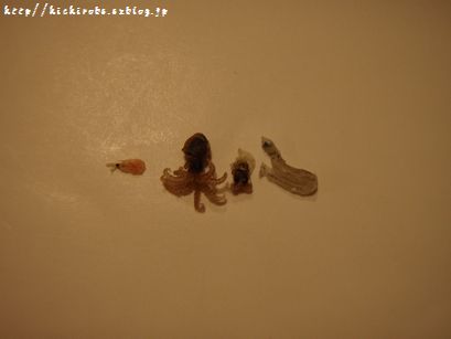 f0039446_1782515.jpg