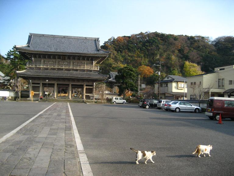 e0121753_1433041.jpg