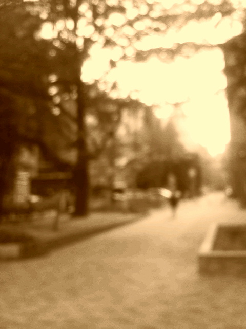 e0160657_1236541.jpg