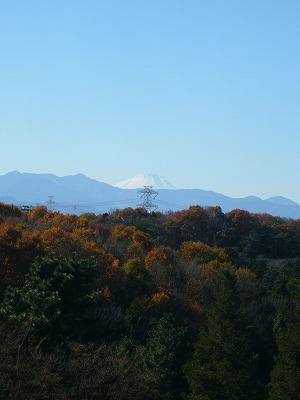 e0129958_20404759.jpg
