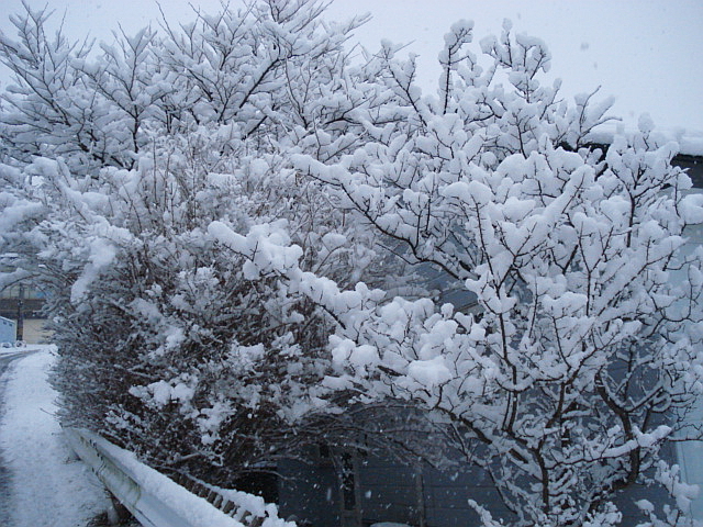 f0132565_9533381.jpg