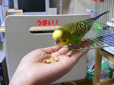 f0196665_0491082.jpg