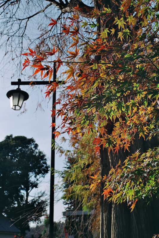 c0084666_1452970.jpg