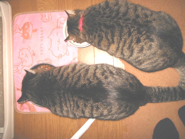 e0031572_15583293.jpg