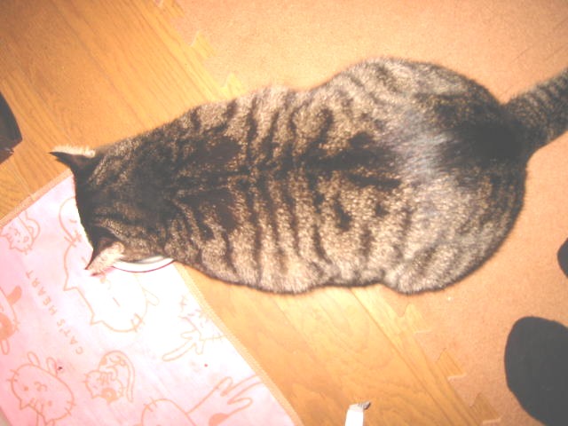 e0031572_155915100.jpg