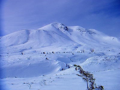 f0182173_11231843.jpg