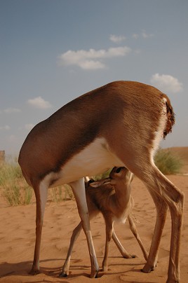 e0066474_0111486.jpg