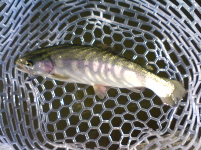a0040876_21531240.jpg