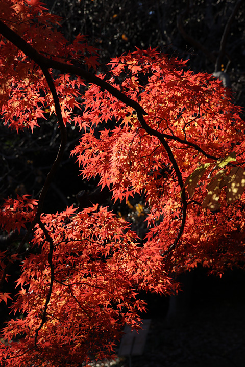 b0067789_205013.jpg
