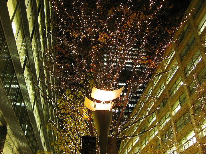 f0164989_07216.jpg