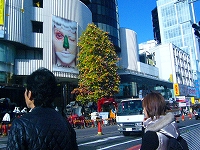 f0168390_17122.jpg