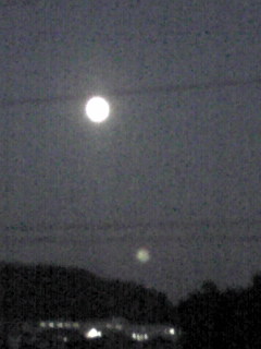 a0077891_23185417.jpg