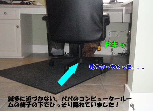 c0164491_6503924.jpg