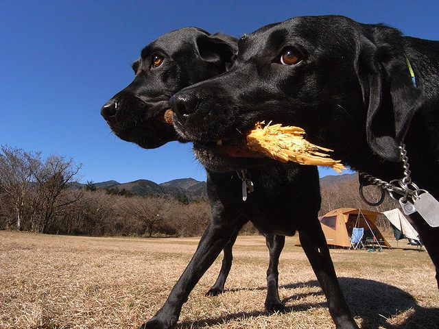 a0093592_21255478.jpg