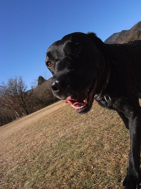 a0093592_21355994.jpg