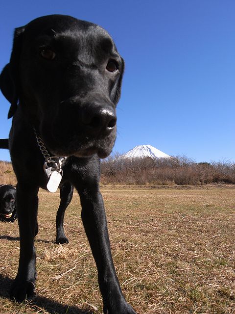 a0093592_21575398.jpg