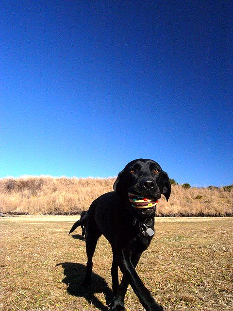 a0093592_22301366.jpg