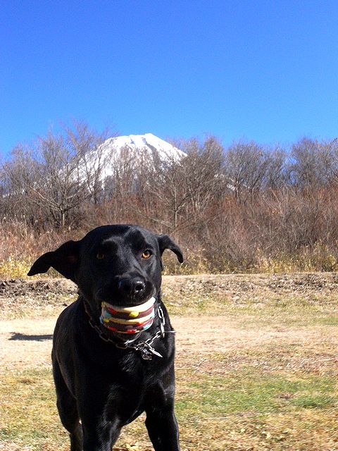 a0093592_22303912.jpg