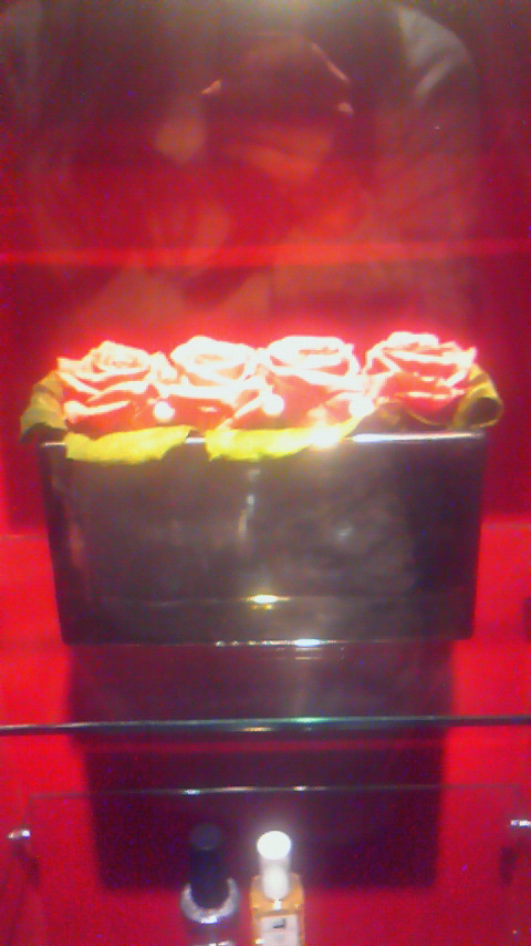 e0156298_17381574.jpg