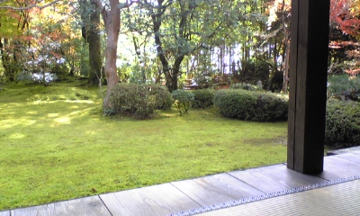 d0121300_114337.jpg