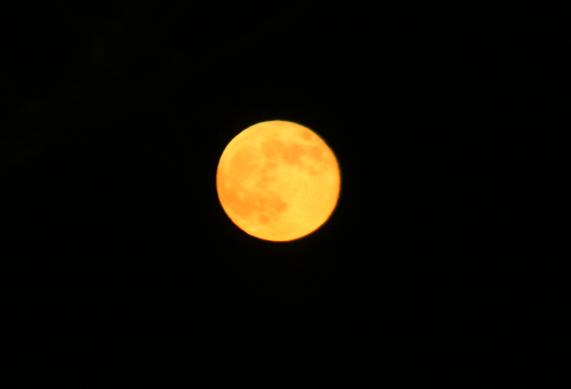 c0155902_21374030.jpg