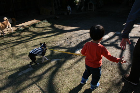 d0070702_2334189.jpg
