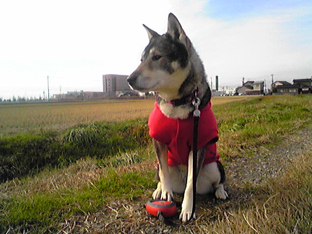 f0079202_20275790.jpg