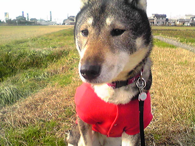 f0079202_20275878.jpg