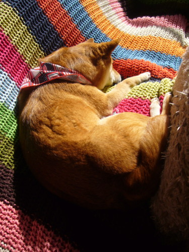 e0131506_04264.jpg