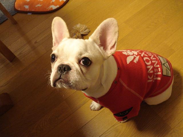 f0084806_21565441.jpg