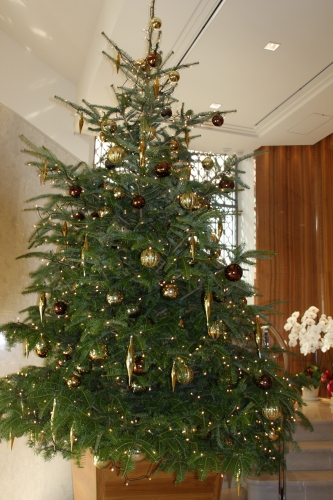 e0121110_21575621.jpg