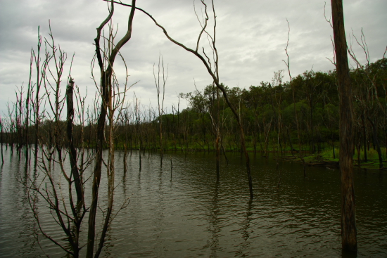 a0095112_111897.jpg