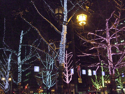 c0077615_138475.jpg