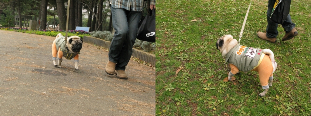 f0128821_234464.jpg