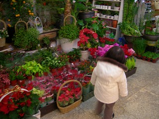 f0011322_23115017.jpg