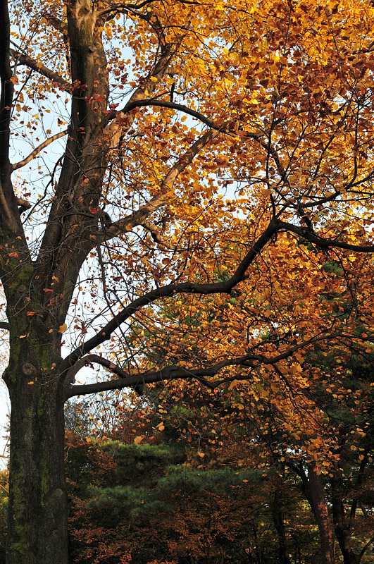 e0135024_9591819.jpg