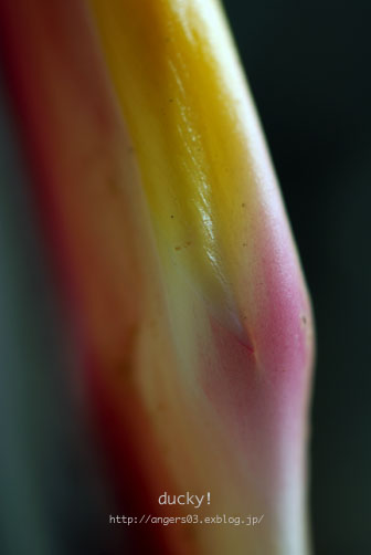 b0144426_19214011.jpg