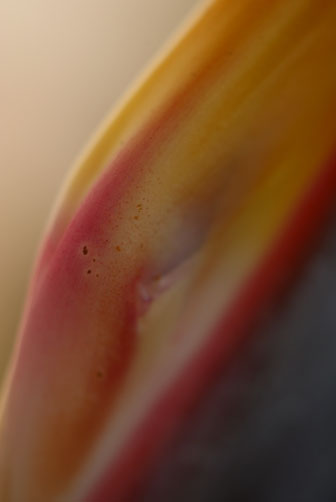 b0144426_19221846.jpg