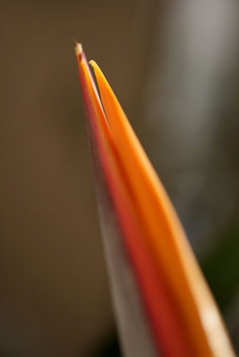 b0144426_1922384.jpg