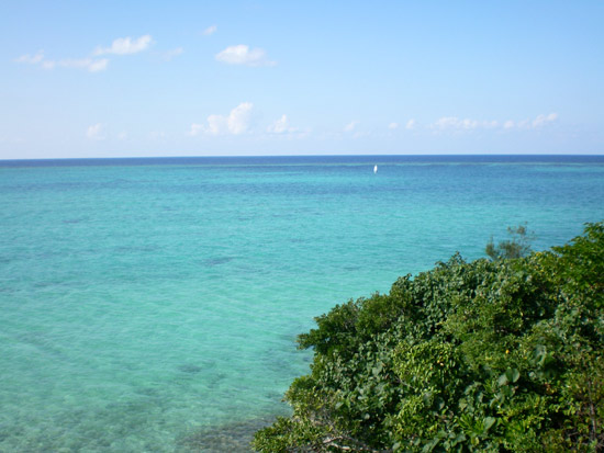e0037129_17173826.jpg