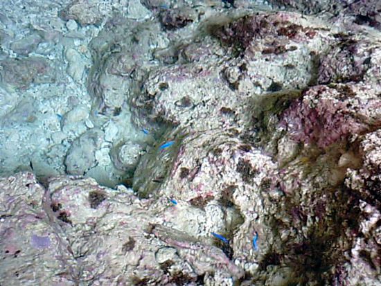 e0037129_1945578.jpg