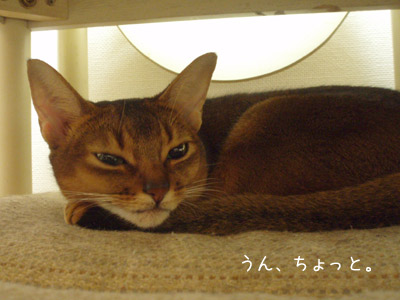c0132438_22193519.jpg