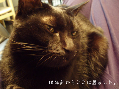 c0132438_228048.jpg