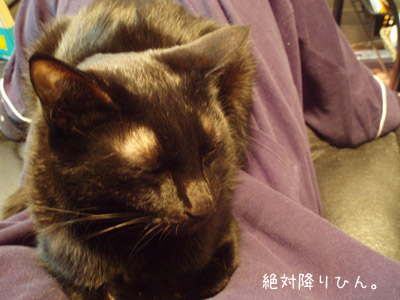 c0132438_2291350.jpg