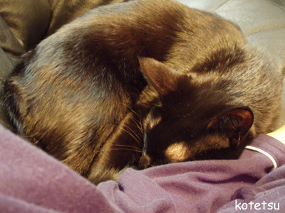 c0132438_2295131.jpg