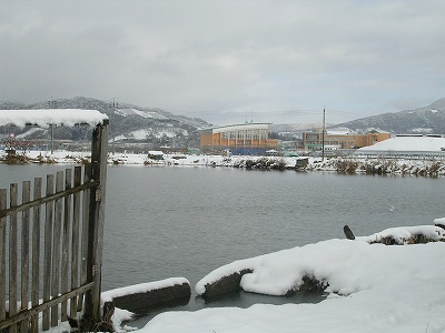 e0131541_22332222.jpg