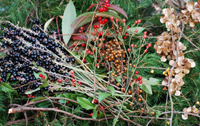 c0085543_23153924.jpg